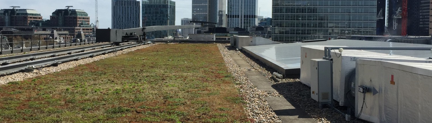 City flooding reduced by green roofs