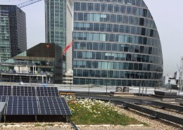 City Centre office green roof and solar panels