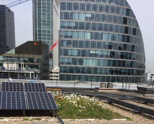 City Centre office green roof and solar panels