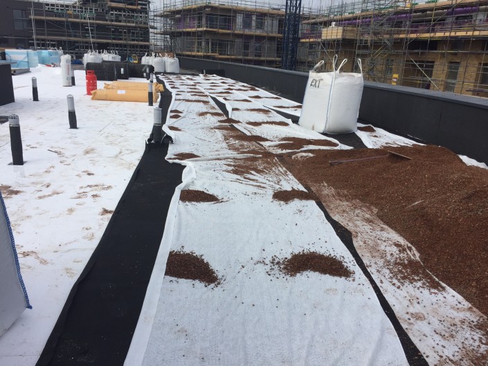 Green roof being installed on student accomodation