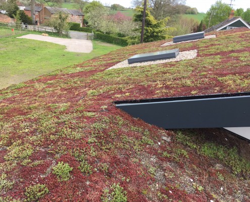 Green roofs and roof gardens