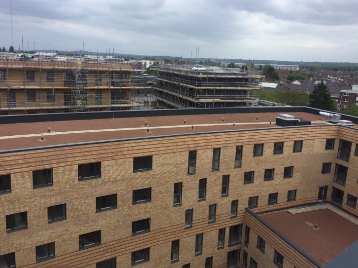 Mannequin House Wildflower roof header