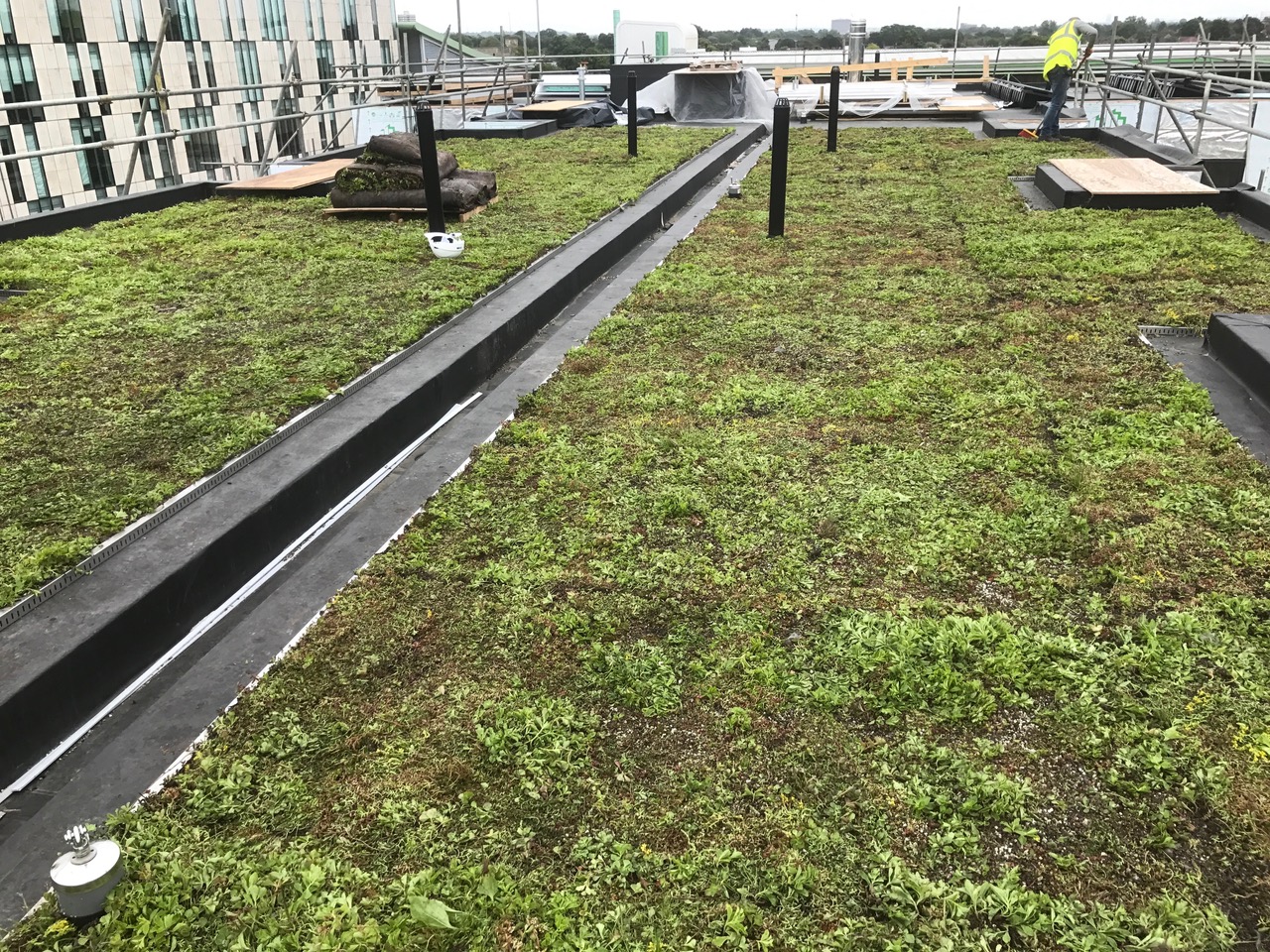 Green Roof Maintenance - The Urban Greening Company - Green Roof Maintenance Cost