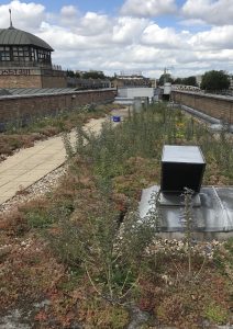 Green Roof brings breath of fresh air to Muslim Cultural Heritage Centre