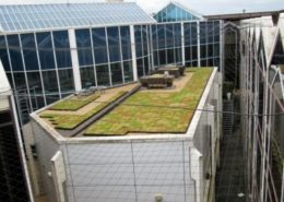 Green roof urban greening project