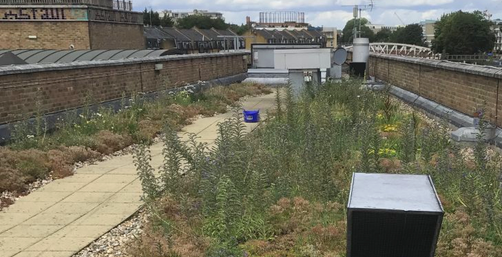 Green roof on Muslim cultural heritage centre