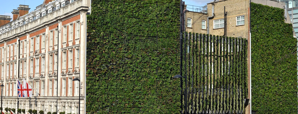 Rubens Hotel one of the biggest living walls London Rubens Hotel one of the biggest living walls London