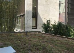 Made In Chelsea - greening luxury development