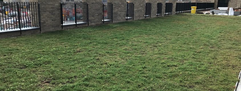 Completed greenroof at Middlewood Locks, Manchester