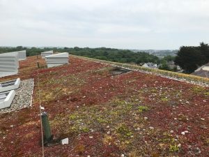 Avoid green roof remedial work