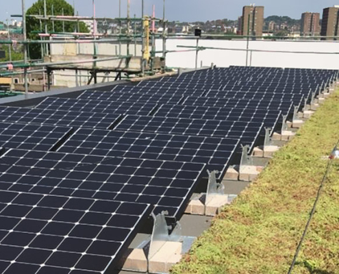 Green Roof with Solar Panels