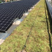 Bio-solar roof to benefit Social Housing