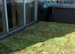 green roof on Radisson Blu Mayfair Hotel