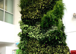 Living Wall Installation at London Wall
