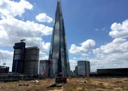 Green roof and the shard
