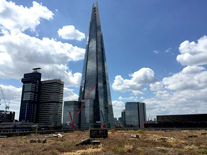 Green roof and the shard