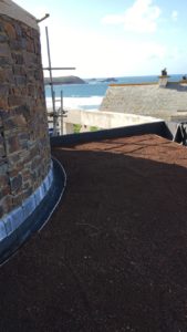 800sqm of green roof in Cornwall