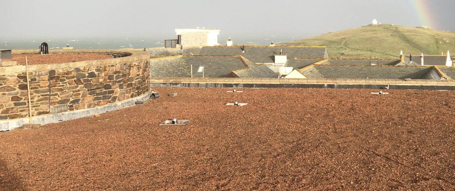 800sqm of green roof in Cornwall