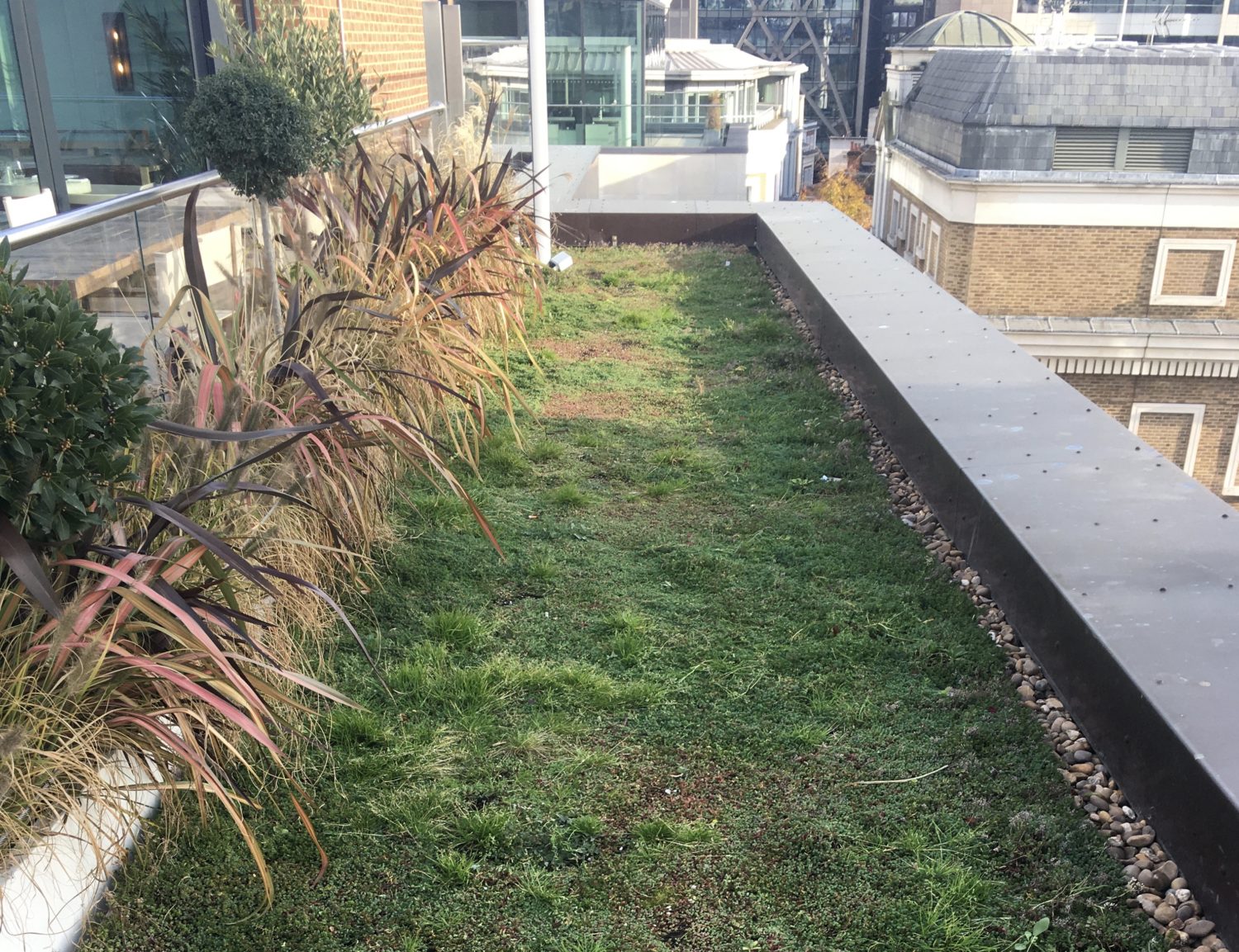 Curated visual reference: Picture Idea: Green Roof Maintenance