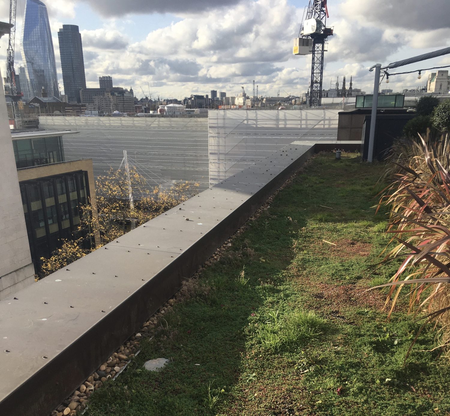 Image showcasing Green Roof Maintenance - The Urban Greening Company