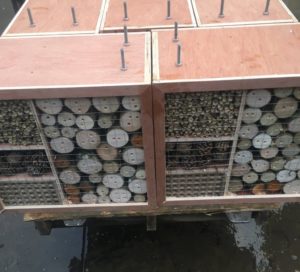 Bee Hotel creation and installation