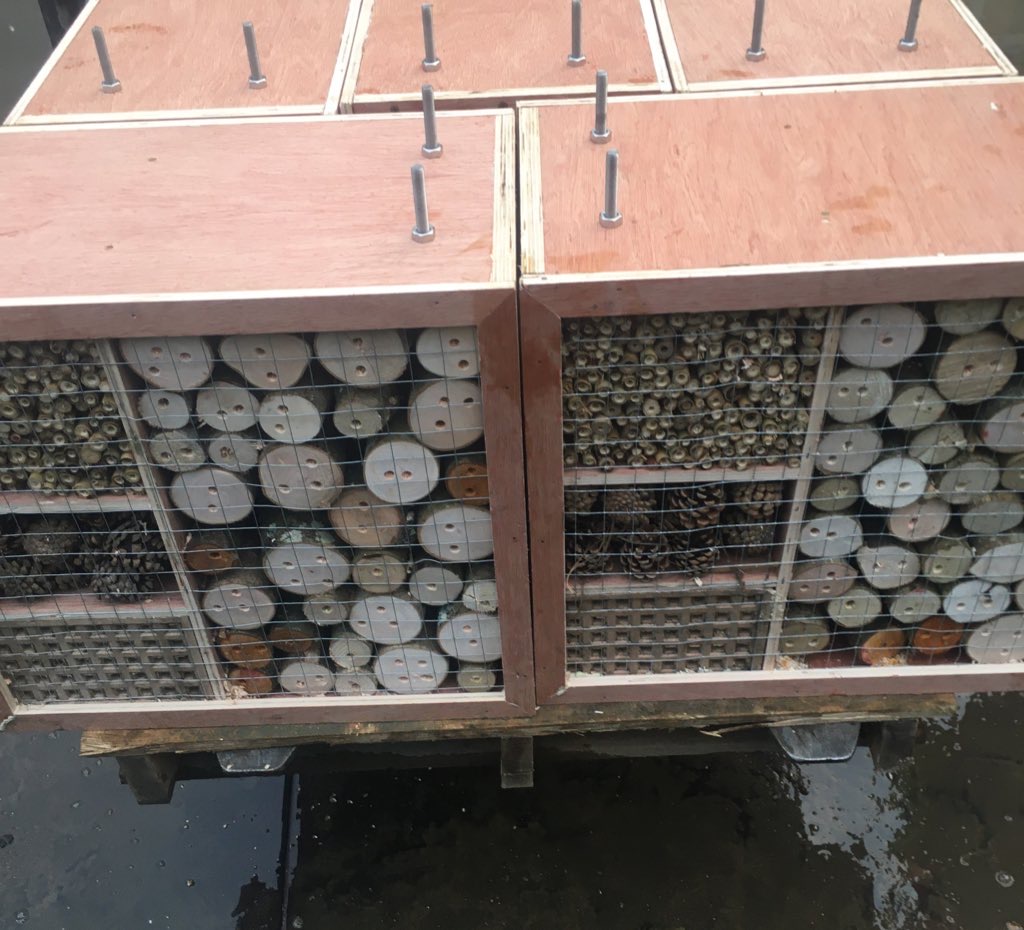 Photo inspiration: Bee Hotel Creation And Installation Photo Inspiration