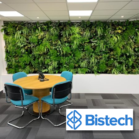 Bistech Living Wall Maintenance