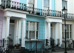 Paddington Bear living wall