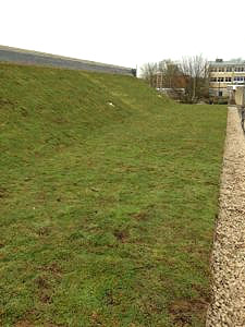 Sedum green roof at Bradford on Avon School