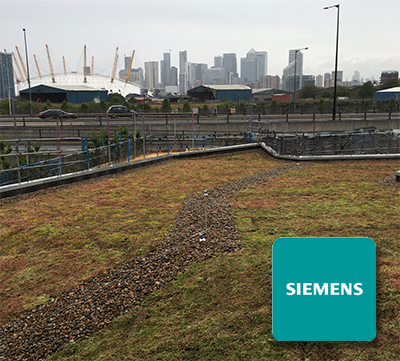 Crystal Building green roof
