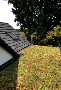 Dorset green roof after installation