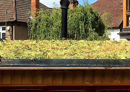 Summerhouse green roof Norward