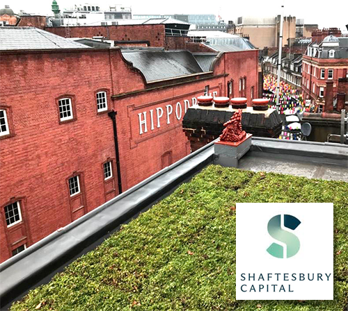 Wild West End Projects green roof