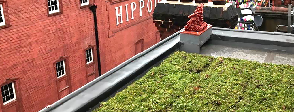 green roof installation Charring Cross Londonl
