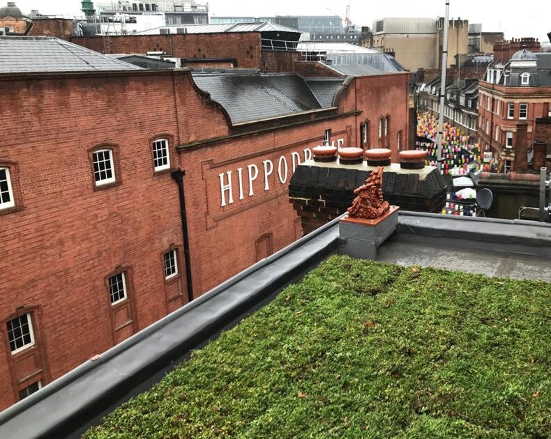 green roof next to the hippodrome