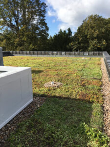 New 300sqm Green Roof at a school in Richmond Upon Thames