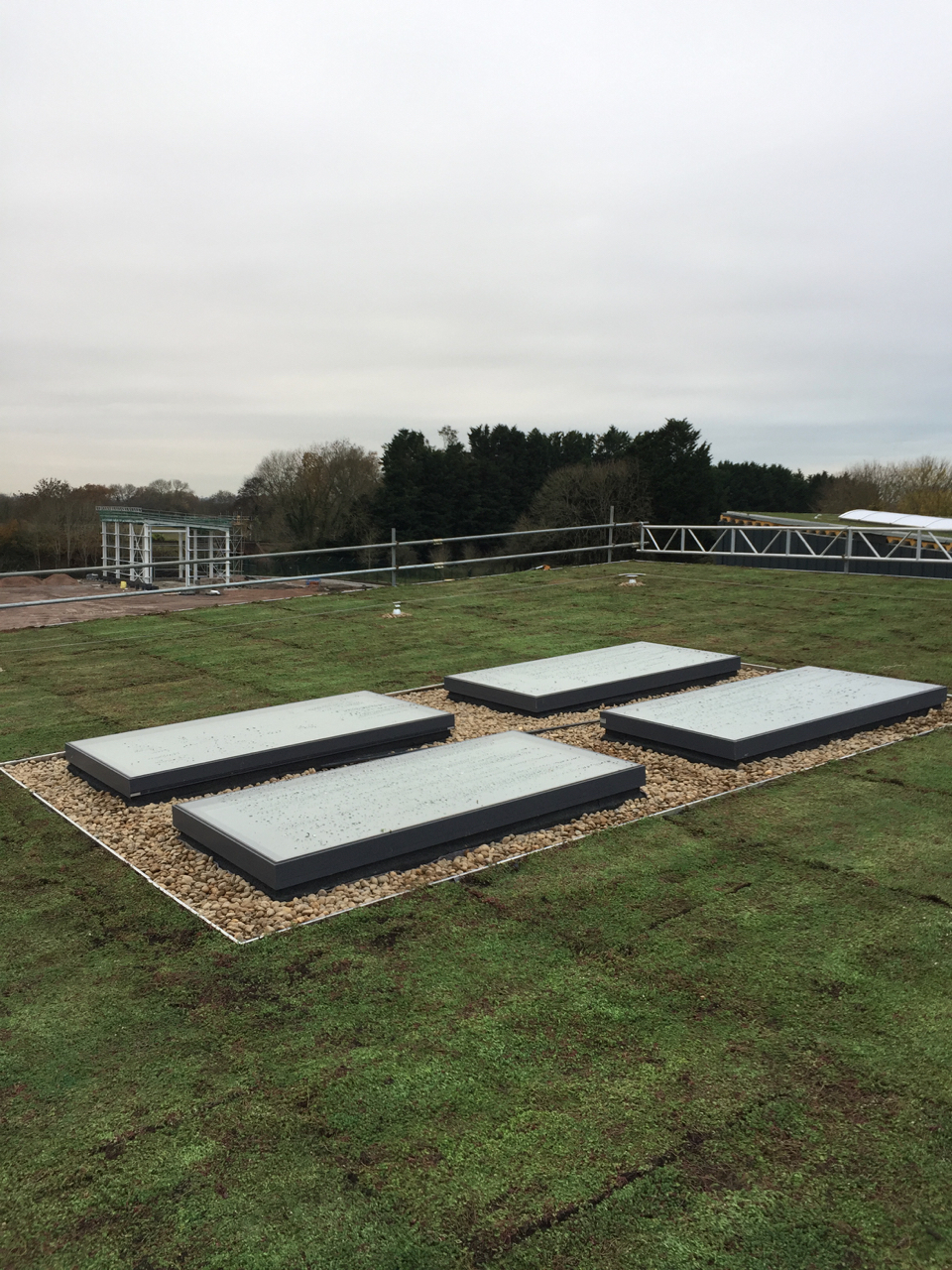 Image showcasing Two Green Roof Installations - The Urban Greening Company