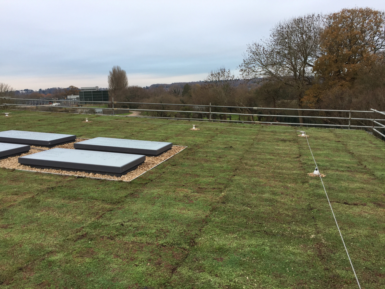 Picture of Two Green Roof Installations - The Urban Greening Company