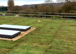 Industrial Green roofs Eastleigh