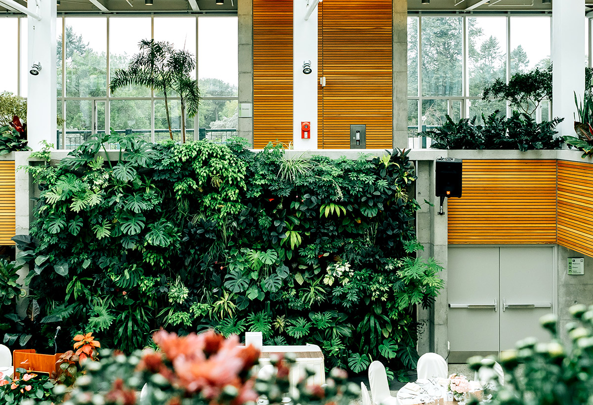 Living Wall Maintenance - The Urban Greening Company