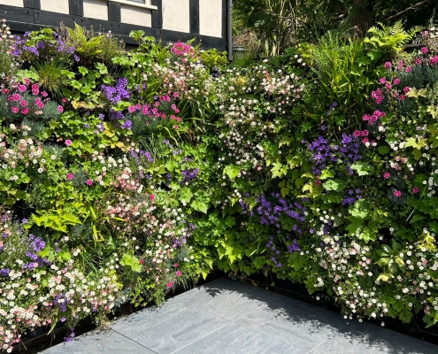 Living wall colour explosion