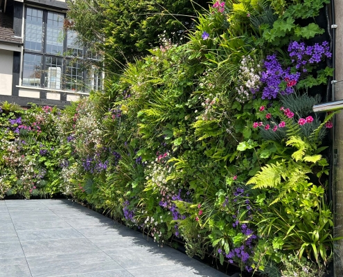 Stunning living wall thrives in garden