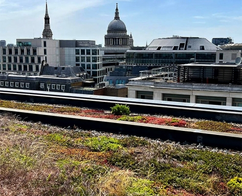 Bank of China green roof maintenance bank of china green roof maintenance