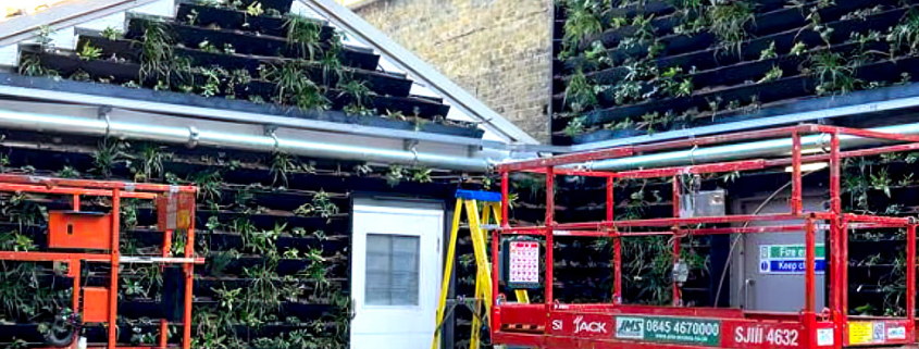 living wall installation 2022 london