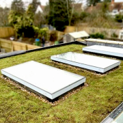 stratford green sedum roof