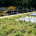 architect wildflower roof leicester