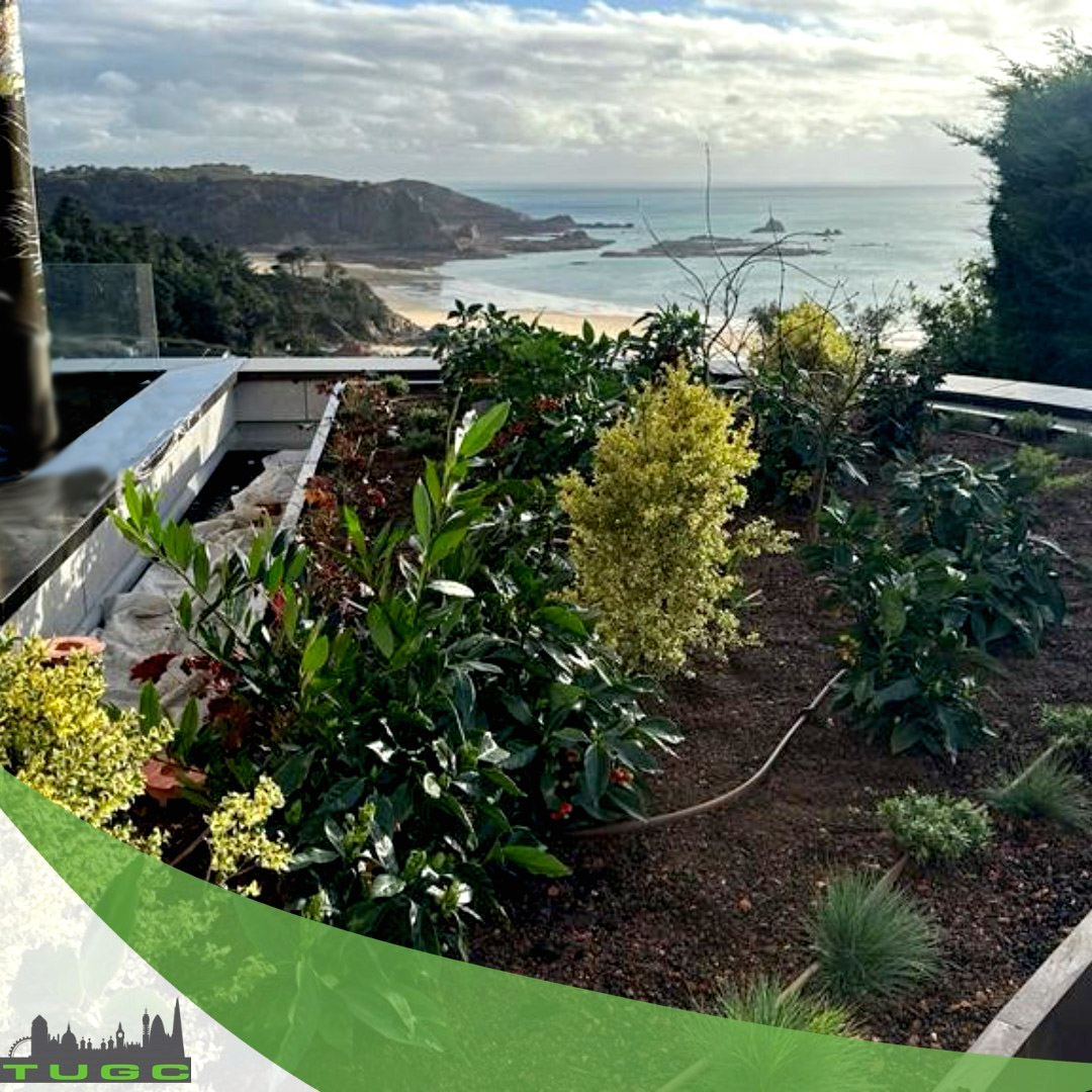Photo inspiration: Picture Idea: Green Roofs Luxury Apartments In Jersey