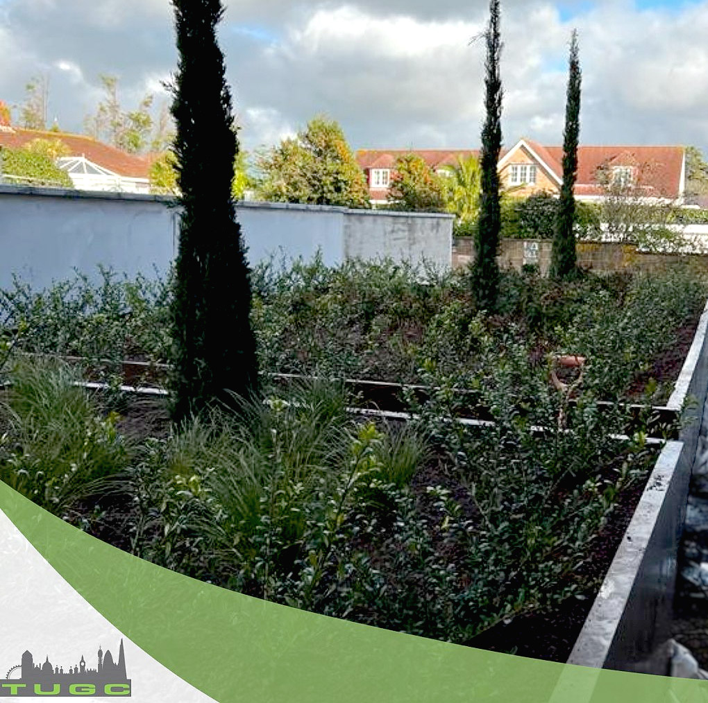 Image showcasing Forget the Bunker. Off-the-Grid Mansions Offer Hideouts in Luxury.