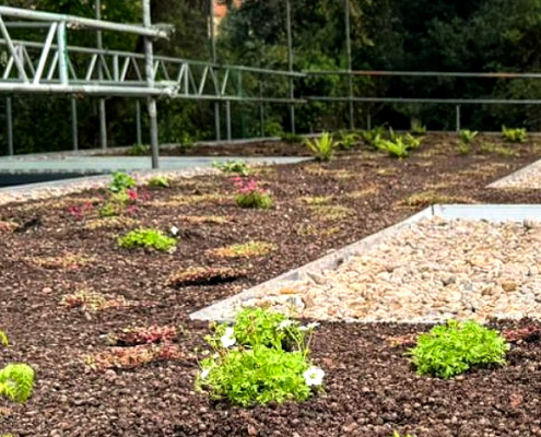 green roof installation Highgate London