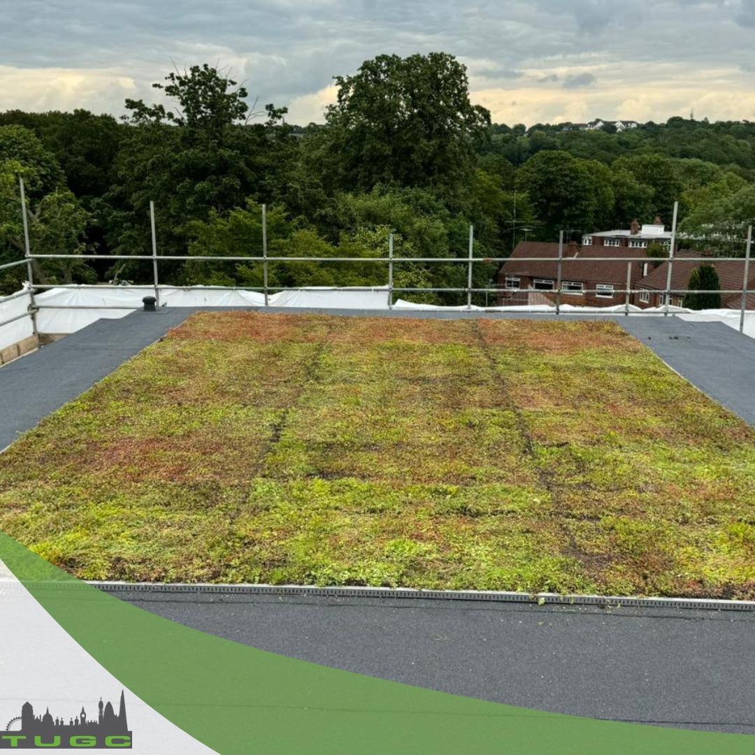Photo inspiration: Gallery Detail: Living Roof Install Roundup June 2024